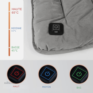 Coussin de lecture électrique pour un confort optimal