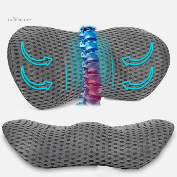 Coussin de lecture lombaire ergonomique pour un soutien optimal