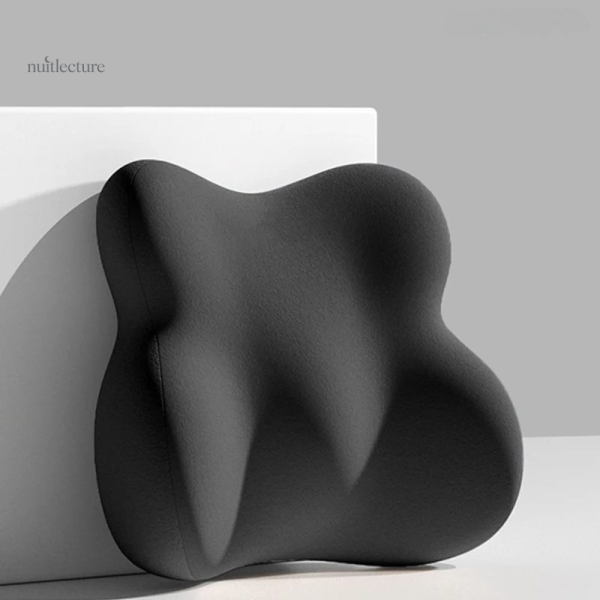 Coussin pour lecture en voiture et chaise de bureau
