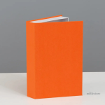 Faux livres uniques pour sublimer votre décoration intérieure