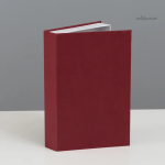 Faux livres de rangement design pour embellir l'espace