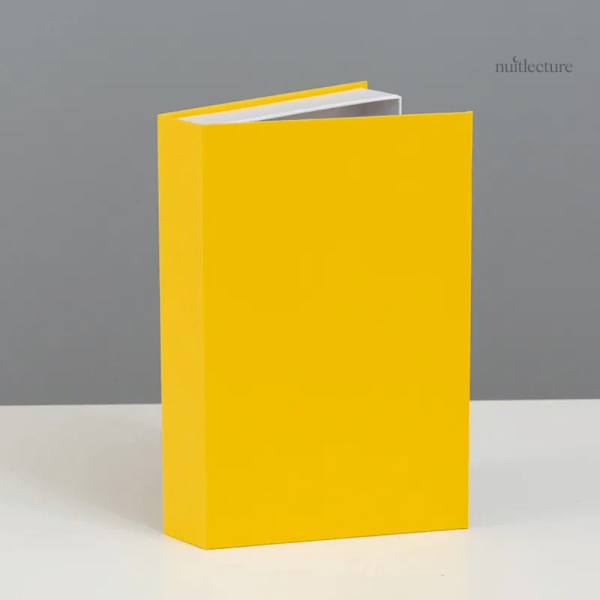 Accessoire décoratif faux livres pour ambiance chaleureuse