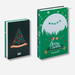 Livres décoratifs élégants pour la saison festive
