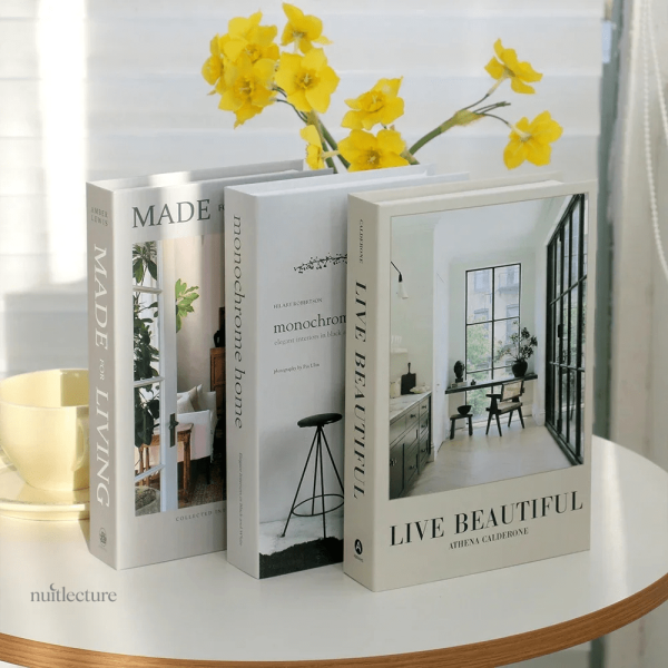 Faux livres design pour un décor contemporain