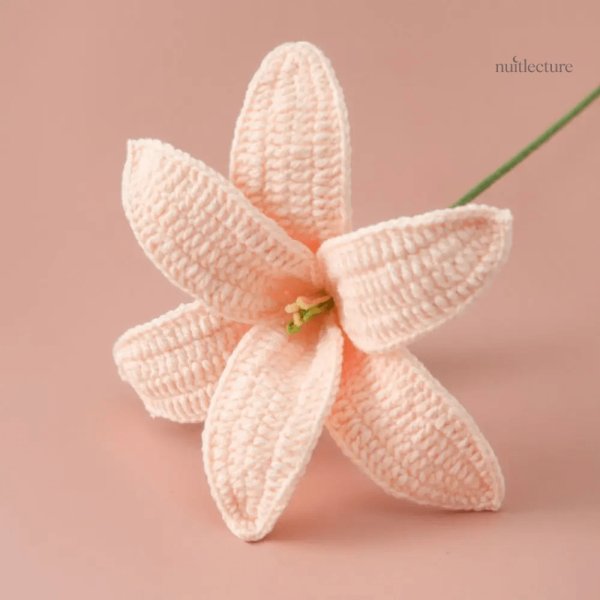 Marque-page crochet tulipe coloré, accessoire pratique
