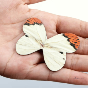 Accessoires de lecture : marque-pages papillon magnétique