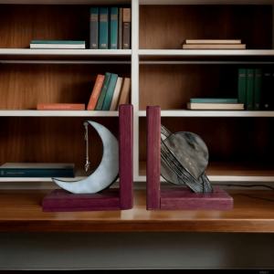 Serre-livre en bois, design satellite et sphère moderne