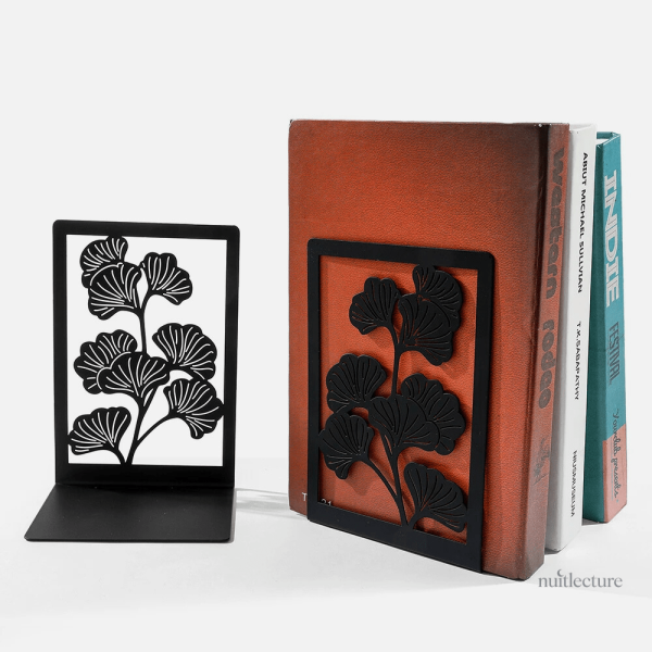 Feuilles de ginkgo